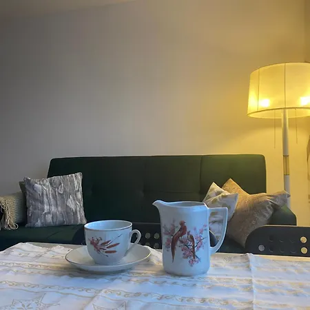 Kawalerka Piechoty 5 Os Centrum *