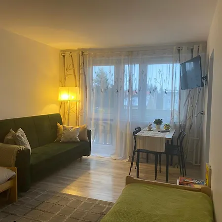 Daire Kawalerka Piechoty 5 Os Centrum Elblag