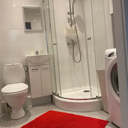 公寓 Kawalerka Piechoty 5 Os Centrum 埃尔布隆格