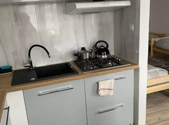 Kawalerka Piechoty 5 Os Centrum Apartment Elbing