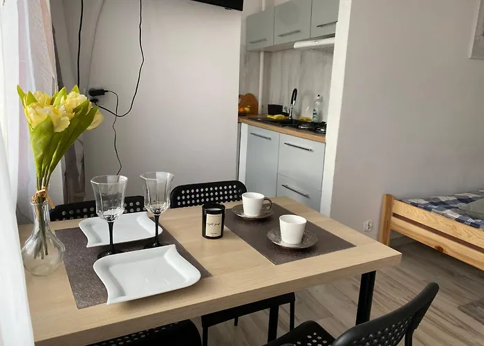 Kawalerka Piechoty 5 Os Centrum Apartment Elbing