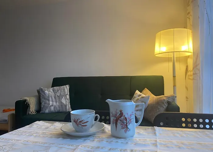 Kawalerka Piechoty 5 Os Centrum *